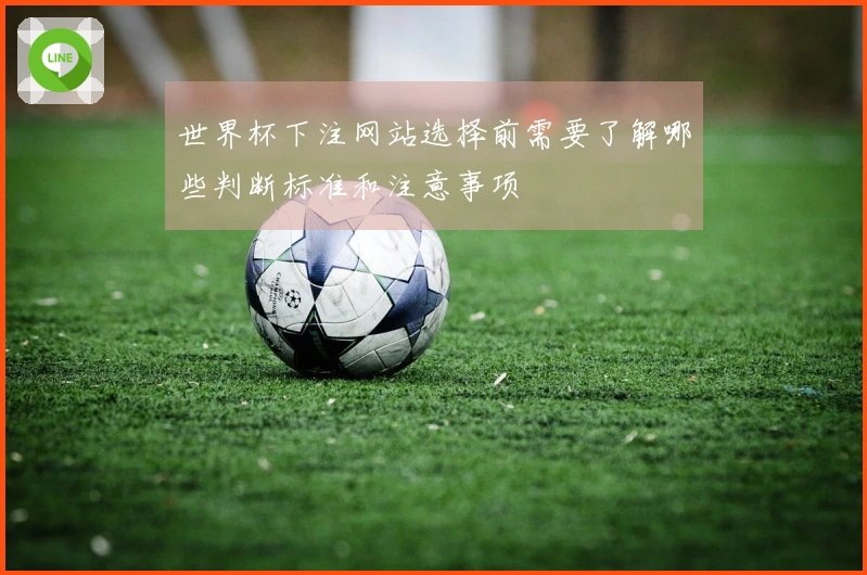 世界杯下注网站选择前需要了解哪些判断标准和注意事项