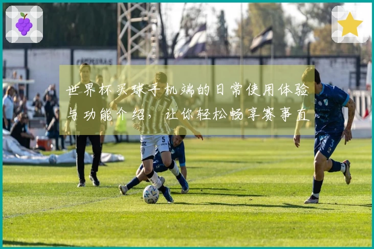 世界杯买球手机端的日常使用体验与功能介绍，让你轻松畅享赛事直播