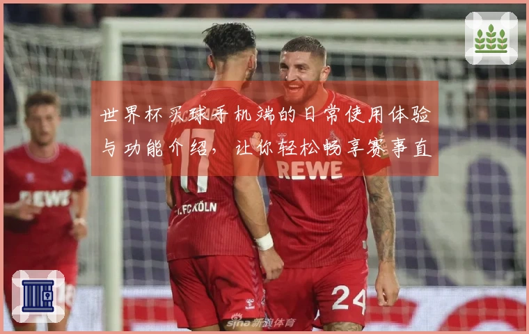 世界杯买球手机端的日常使用体验与功能介绍，让你轻松畅享赛事直播