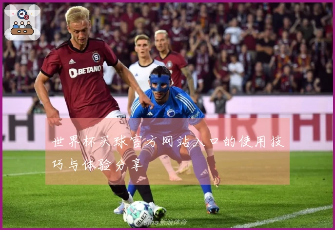 世界杯买球官方网站入口的使用技巧与体验分享