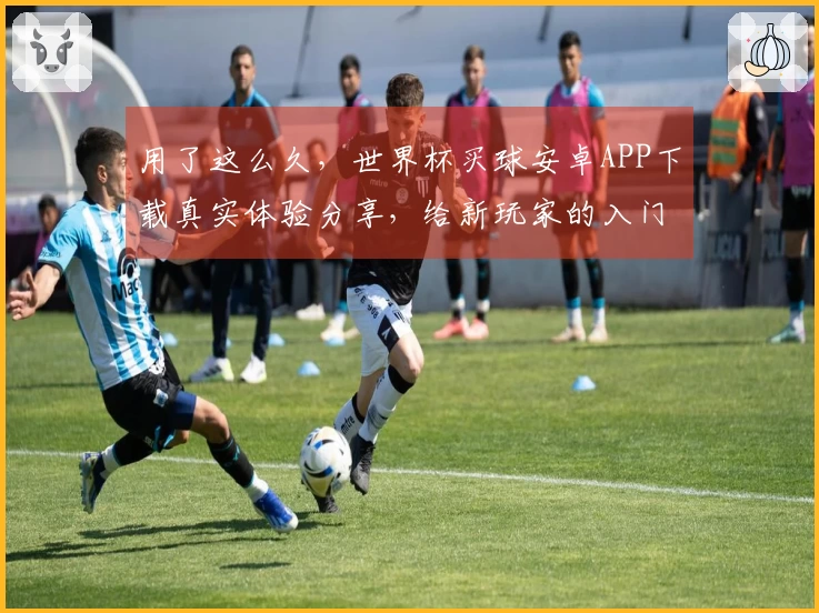 用了这么久，世界杯买球安卓APP下载真实体验分享，给新玩家的入门指南