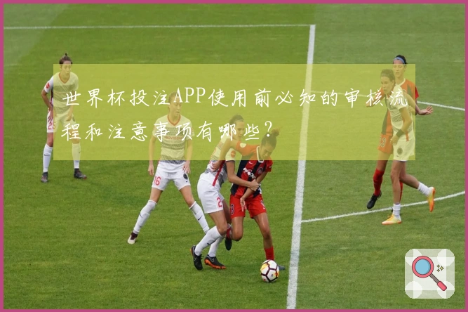 世界杯投注APP使用前必知的审核流程和注意事项有哪些?