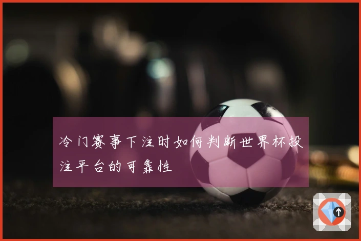 冷门赛事下注时如何判断世界杯投注平台的可靠性