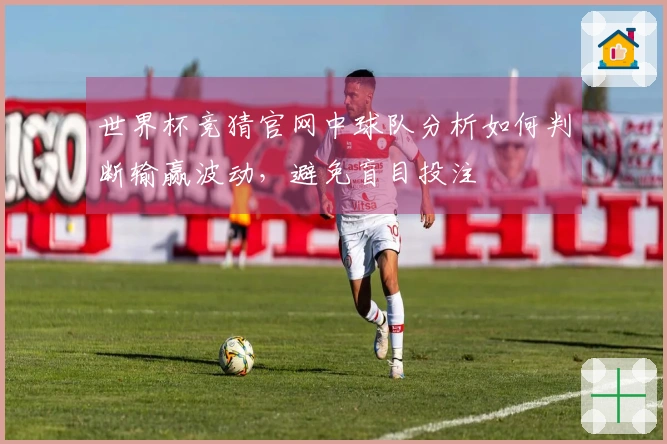 世界杯竞猜官网中球队分析如何判断输赢波动，避免盲目投注