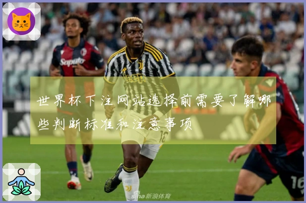 世界杯下注网站选择前需要了解哪些判断标准和注意事项