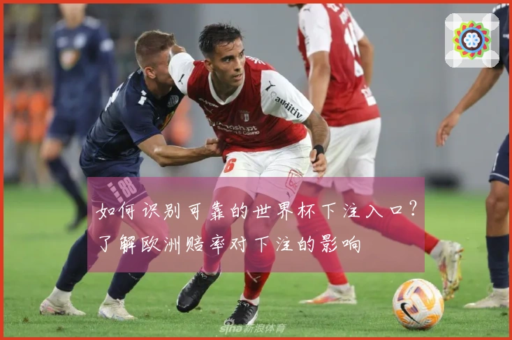 如何识别可靠的世界杯下注入口？了解欧洲赔率对下注的影响