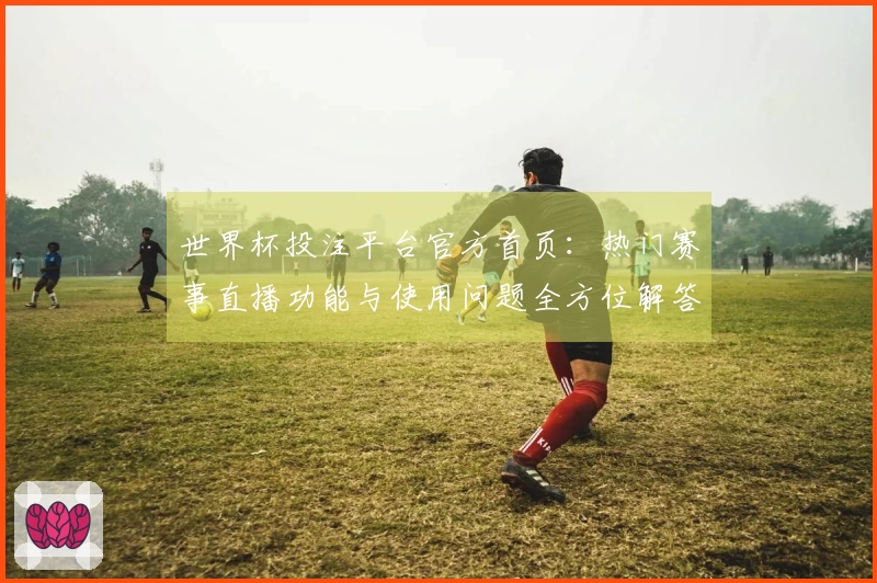 世界杯投注平台官方首页：热门赛事直播功能与使用问题全方位解答