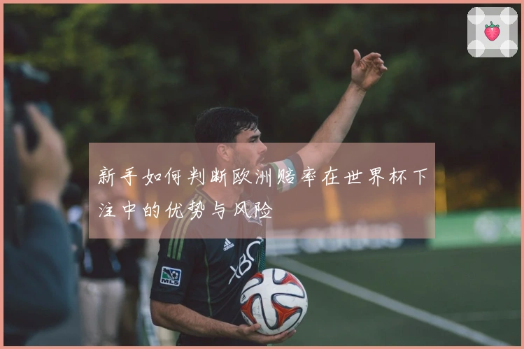 新手如何判断欧洲赔率在世界杯下注中的优势与风险