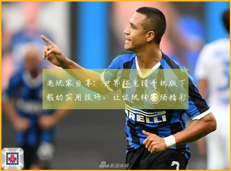老玩家分享：世界杯竞猜手机版下载的实用技巧，让你玩转赛场精彩